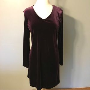Purple Vintage Velvet Dress